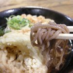 スマル亭 - 「そば並盛　天ぷら　由比桜えび・しらす」の麺