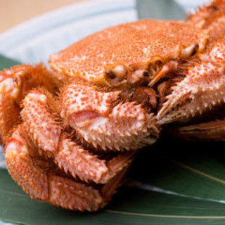 双子山 しょうじ_0