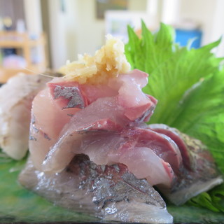 ウミガメカフェ_1