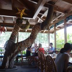 BUZZ'S ORIGINAL STEAK HOUSE - 