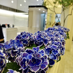 マールブランシュ 京都北山本店 - 店内