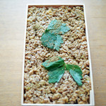 鳥しき - おみやのそぼろ弁当