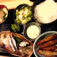 鯖とか烏賊とか真とか - 