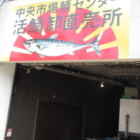 鯖とか烏賊とか真とか - 