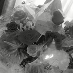 旬魚旬菜まるとび - 