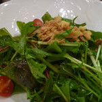 静音 - チョレギサラダ