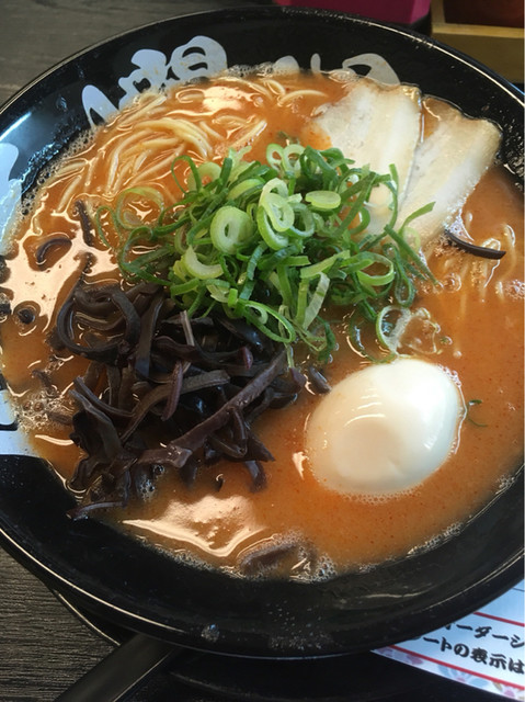 豚骨ラーメン専門店 大和 桜花爛漫 （トンコツラーメンセンモン