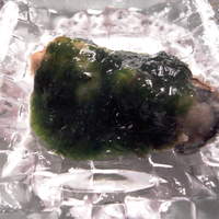 京 静華 - 