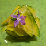 カモシヤ クスモト - 