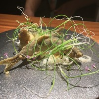 TACUBO - 