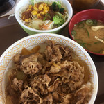 すき家 - 牛丼並盛サラダセット (500円)