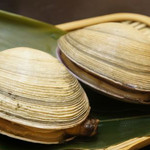 Large clam