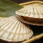 scallop