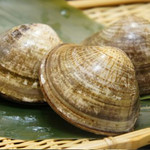 clam