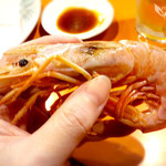 熊飯店 - 天然赤エビの湯引き