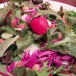 チキンカレー（こだわり野菜のサラダ付き）