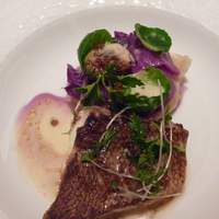 カランドリエ - 魚　玄海産のハタ