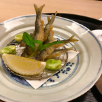 もめん - 稚鮎  苦味がオトナ味です