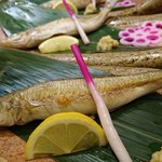 キサラギ - キスの塩焼き！もちろんお刺身でも美味！