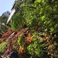東京 芝 とうふ屋うかい - 
