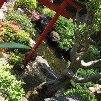 東京 芝 とうふ屋うかい - 