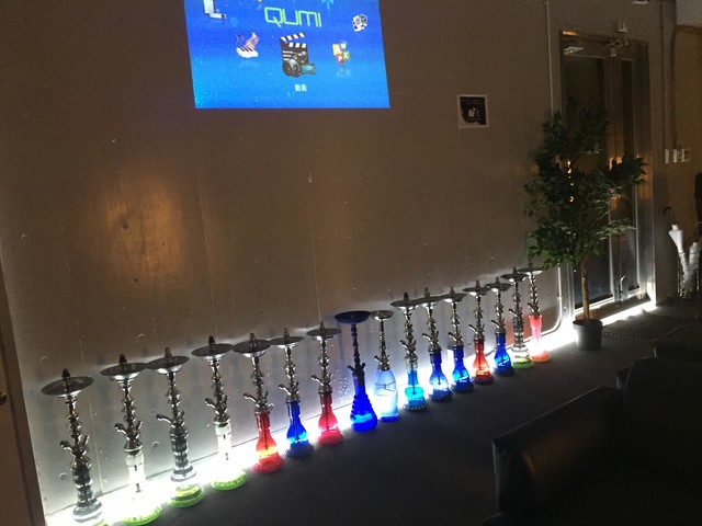 Sweet Camel  photo 5