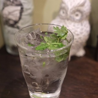 パクチーバル 8889_0