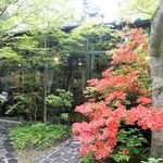 エルミタージュ ドゥ タムラ - Entrance