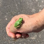 魚菜料理 縄屋 - 