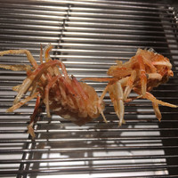 てんぷら山の上 Ginza - 