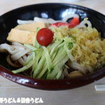 手打うどん 松屋 - 冷やしたぬき