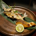 稲穂 - 鉢肴 サツキマスと長良川の天然鮎