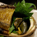 稲穂 - 強肴 山口県産 鮑の炭火焼き 土佐酢