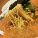 ラーメン専門店 きて屋 - 110207京都　きて屋　麺