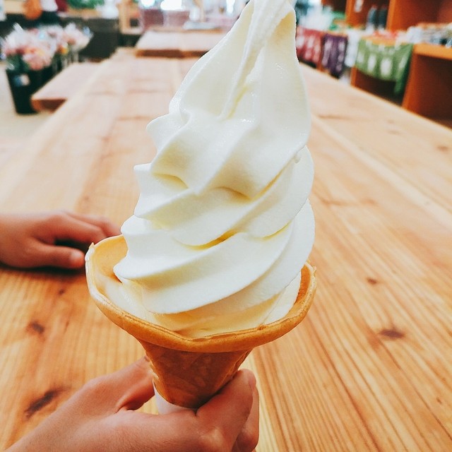 ソフトハウス 水沢江刺 &ndash; ジェラート・アイスクリームの魅力と口コミ