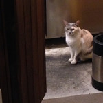 tblg.k-img.com/restaurant/images/Rvw/67489/150x150