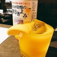 眞か SHINKA - 