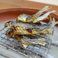 松川 - 稚鮎
