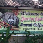 Jambe Asri Agrotourism - 