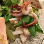 ラディーチェ - 