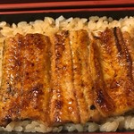 鰻割烹 伊豆栄 梅川亭 - うな重アップ