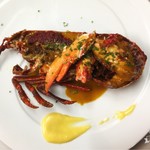 Roasted French blue lobster