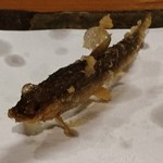 石臼挽き手打 蕎楽亭 - 単品 稚鮎