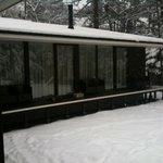 フォリオリーナ・デッラ・ポルタ・フォルトゥーナ - 