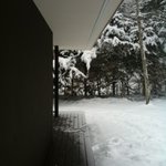 フォリオリーナ・デッラ・ポルタ・フォルトゥーナ - 