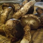 月波 - ☆？？あれはなんだぁ～って言うぐらいの大きさ（●＾o＾●）☆