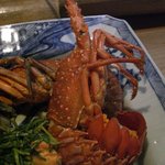 月波 - ☆大き～い＆びっくり～☆