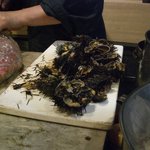 月波 - ☆赤雲丹の殻いっぱい☆