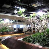 IL PINOLO SKY TERRACE 横浜 - iL PiNoLo LEVITA 横浜そごう店