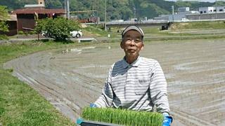 江戸前鮨と鶏 和暖 - 